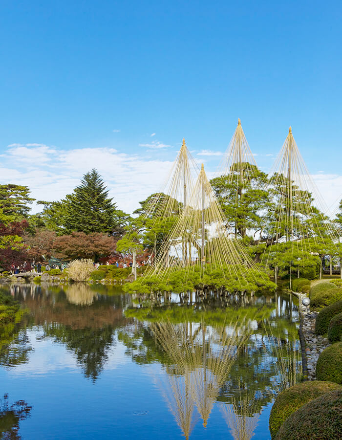 金沢兼六園、雪吊り